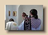 P1100627 (Medium)